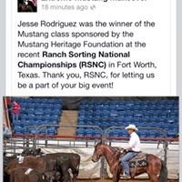 Robin Burgin Photo 22