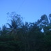 Chang Vang Photo 32