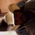 Daniel Farr Photo 10