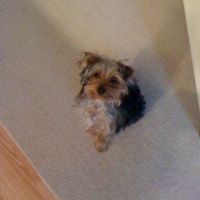 Joann Jenkins Photo 15