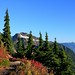 Heather Meadows Photo 18