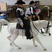 Debra Wolf Photo 24