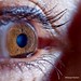 Michael Lash Photo 15