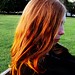 Amy Coe Photo 12