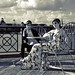 Farah Ahmed Photo 19