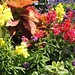 Gene Bloom Photo 13