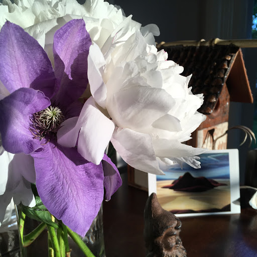 Anne Hubbard Photo 28