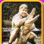 Steve Erwin Photo 11