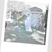 Mary Bibbs Photo 16