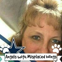 Debbie Kemper Photo 14