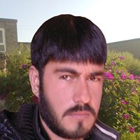Mohammad Hamid Photo 26