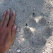 James Wolf Photo 46
