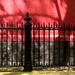 Charles Wall Photo 17