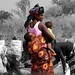 Nelson Andrade Photo 8