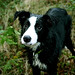 Jess Matlock Photo 17