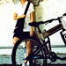 Lily Chen Photo 22