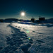 Jack Fish Photo 24