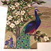 Melanie Plummer Photo 16