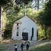 Joseph Sutter Photo 14