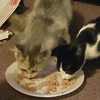 Ann Schafer Photo 22