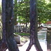 Deborah Rector Photo 11