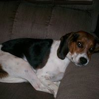 Dexter Scott Photo 32