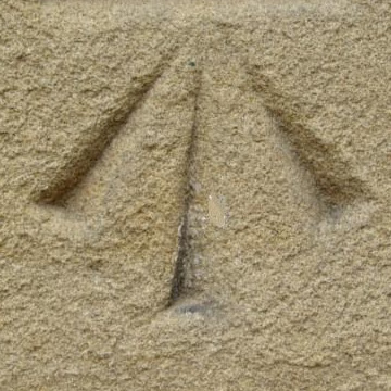 Thomas Kassebaum Photo 6