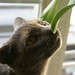 Maggie Pierre Photo 14