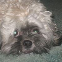 Nancy Larson Photo 7