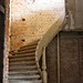 Karl Krause Photo 14