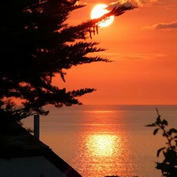 Sue Ellis Photo 32
