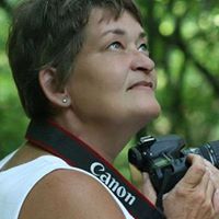 Janet Vinyard Photo 7