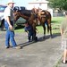 Chad Ramsey Photo 18
