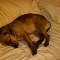 Henry Casey Photo 4