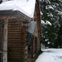 Brett Weber Photo 10