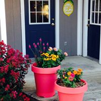 Julie Hannon Photo 27