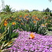 Barbara Flowers Photo 9