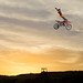 Patrick Fitz Photo 22