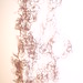 Angel Marcano Photo 43