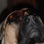 Debra Montoya Photo 20