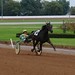 Edwin Burke Photo 12