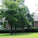 Thomas Dunlap Photo 19