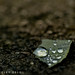 Lisa Neeley Photo 26