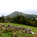 Susan Falconer Photo 9