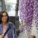 Arlene Flowers Photo 13