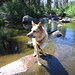 Jerry Fuller Photo 38