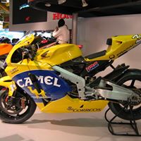 Romel Figueredo Photo 5