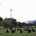 Siu Cheng Photo 15