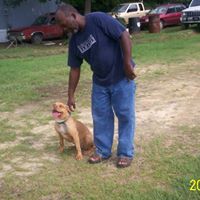Carol Spaulding Photo 21