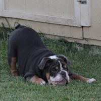 Glenda Estes Photo 18